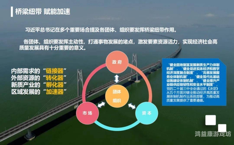探索与解析，网站在现代社会中的核心作用与未来发展趋势