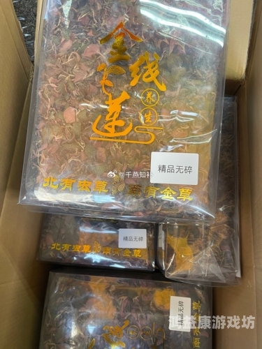 精品无码久久久久国产APP，探索高质量国产应用的新时代