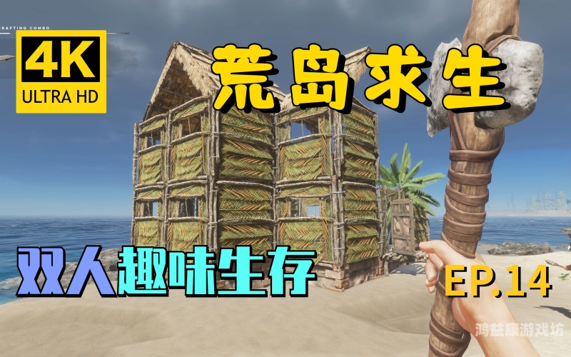 荒岛求生，双人游戏的深度体验与策略探讨可以两个人玩的生存游戏