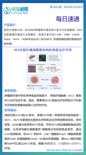 深入解析网易版，为何它能在竞争激烈的市场中脱颖而出网易版我的世界