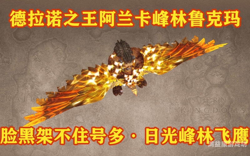 魔兽世界副本掉落查询器，你的通关利器