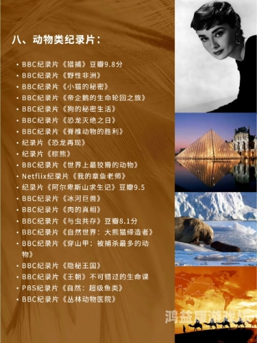 国内高清看片久久，优质影视资源平台的崛起与发展