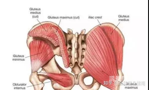 蜜桃传播18，免费在线看，精彩不断！