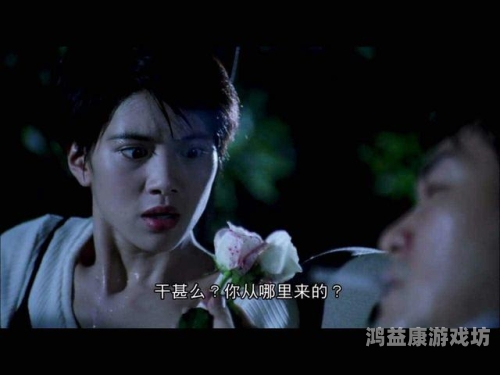 久久国产精品视频免费观看，探索国产影视的魅力与价值