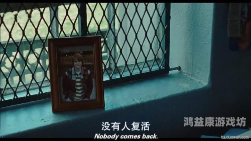中文字幕永久免费看，全球影视资源无障碍享受的终极指南