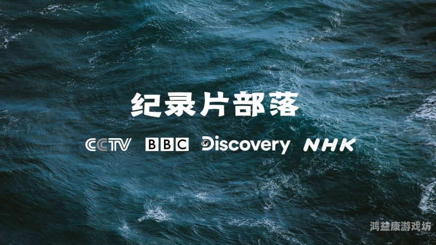 深入探讨精品AV毛片视频的市场现状与未来发展趋势毛茛视频