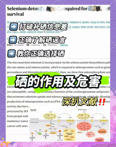 深入探讨精品AV毛片视频的市场现状与未来发展趋势毛茛视频