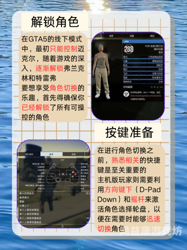 侠盗猎车手5秘籍大全，新手必备指南与高级技巧大揭秘