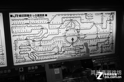 东京熟在线观看，探索日本都市生活的深度体验