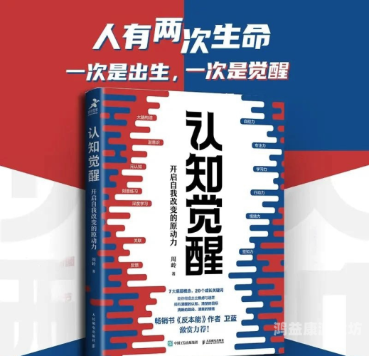 深入解析一本大道无码视频一区二区，网络视频分区的现状与未来趋势