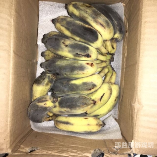 国产香线蕉手机在线观看，高清流畅体验，随时随地享受影视盛宴中国大陆香蕉2019年新款