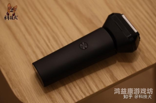 97在线观看视频免费播放，全面解析与使用指南
