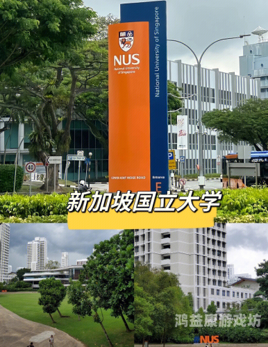 亚洲、欧美与国产综合比较，文化、经济与科技的多元视角