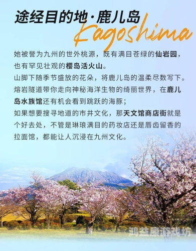 加勒比亚洲无码高清影片的流行趋势与文化影响