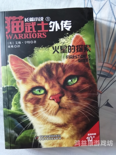 探索亚洲中文色欧另类欧美小说的独特魅力与跨文化影响
