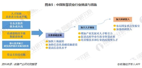 国产在线看片网站的崛起与发展，机遇与挑战并存