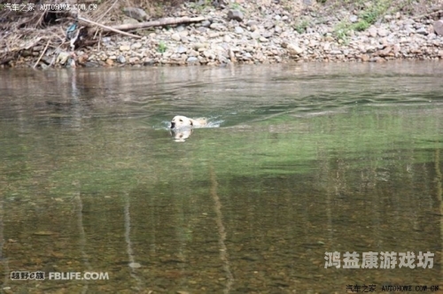 探索欧美激情文化，一区、二区、三区的深度解析