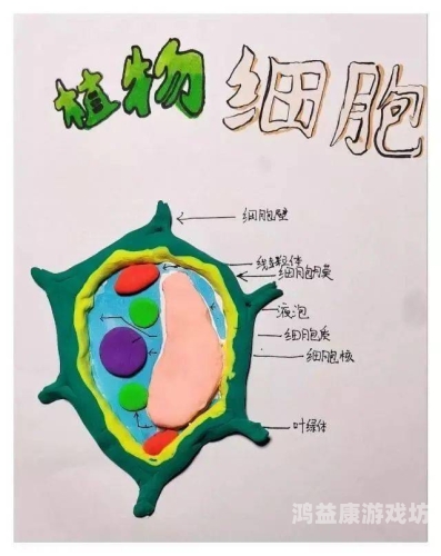 逃生，探索生命的奥秘与应对策略