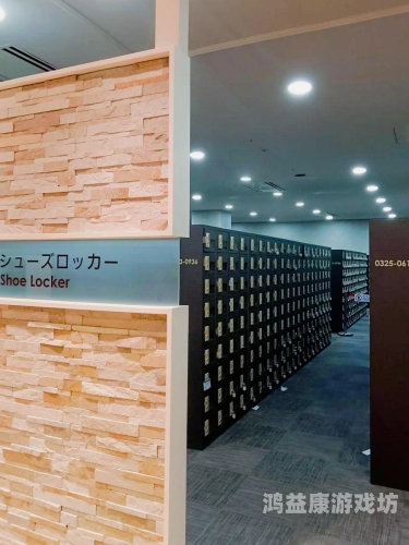 东京久久一本热伊人，探索东京的独特魅力与文化底蕴
