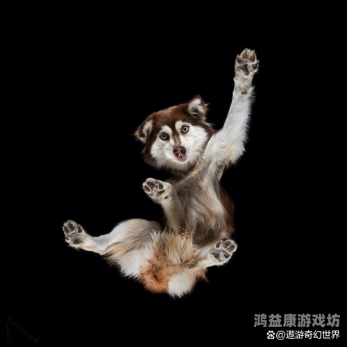 全球艺术摄影趋势，亚洲、欧美、日韩的另类视觉表达