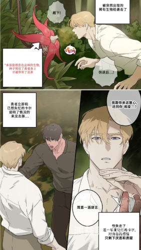 韩国漫画，探索韩国流行文化的瑰宝