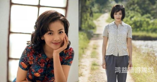 探讨婚姻伦理与家庭责任，现代社会中人妻角色的挑战与应对人妻16b