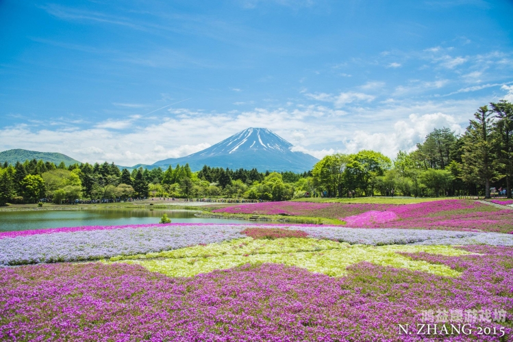 日本成片区免费，探索日本免费旅游资源的深度指南