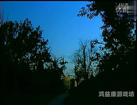 五月婷婷在线视频观看，探索她的作品与影响力
