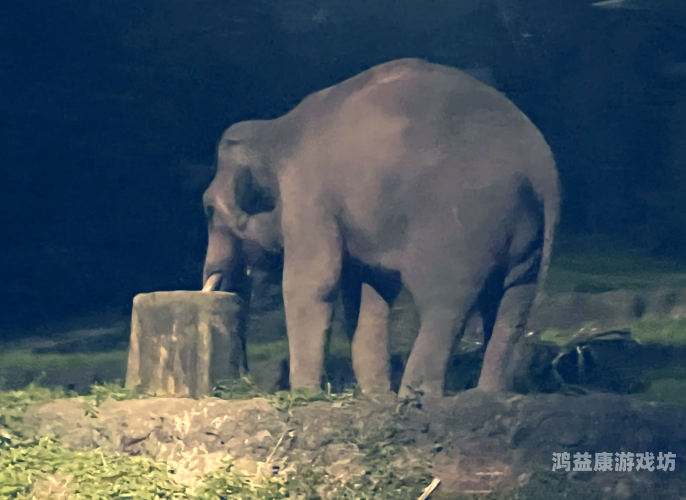 阿扎达2攻略，探索神秘世界的终极指南