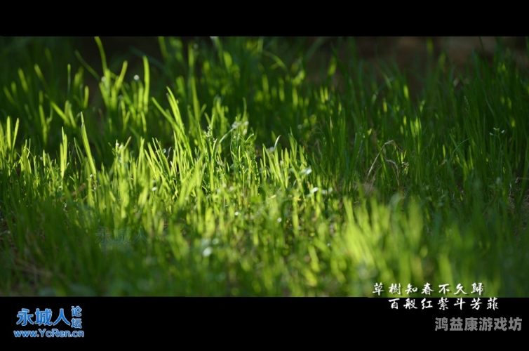 国产91精品青草社区，探索中国本土优质内容的新天地
