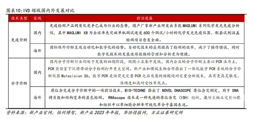 国产精品91小视频崛起，内容创新与市场机遇并存