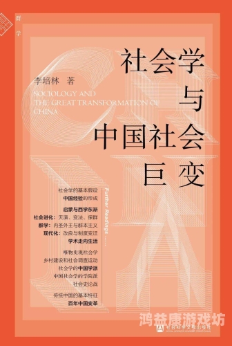 欧美福利视频网站的兴起与发展，现状、影响与未来趋势