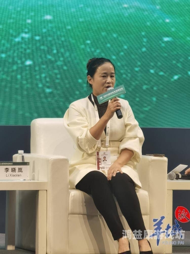 国产AV芯片行业迎来新机遇，技术创新引领未来国产aV视频一区自拍