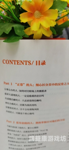 国产乱码精品秘，一区二区现象解析与应对策略