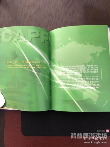 亚洲天码中字一区，解码数字时代下的文化传播与区域合作