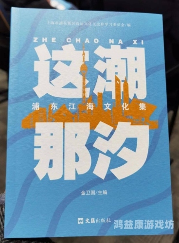国自精品在线观看，优质国产自制内容的崛起与未来展望