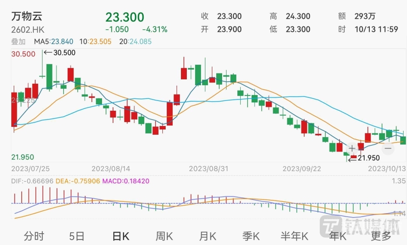 高清无码视频，技术革新与内容监管的博弈