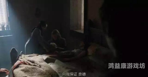 欧美视频在线观看一区，全面解析与安全观看指南