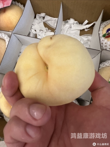 水蜜桃国产精品与欧美日韩一区不卡对比，品质与口感的全球之旅