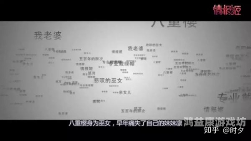 视频一区在线观看，全面解析与推荐指南今天高清视频在线观看