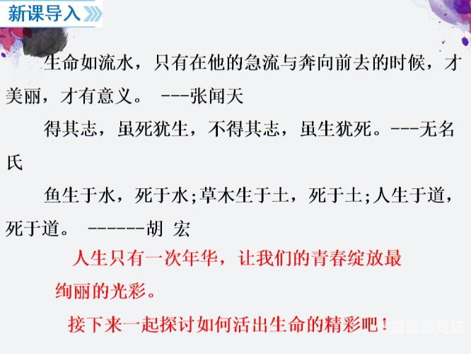 成年网站在线观看，法律、道德与个人选择的探讨