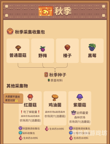 揭秘顶级破解游戏软件，为何它们能成为玩家的心头好？