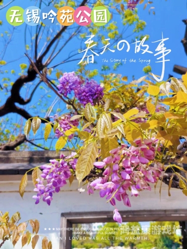 丁香五月天亚洲，探索亚洲的自然美景与人文风情丁香五月天亚洲次在线