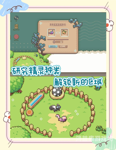 神奇宝贝官方正版手游，掌中世界的魔法与冒险