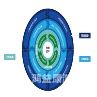 一区二区免费在线观看，影视资源分区解析与合法观看指南