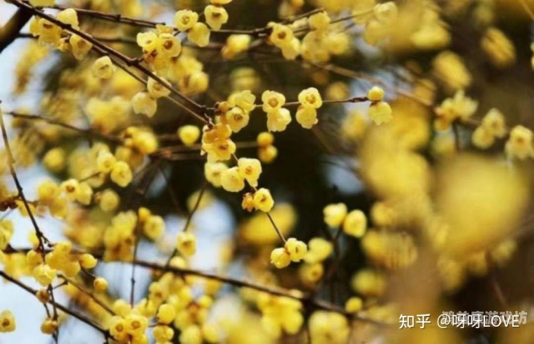 九月婷婷人人澡人人添人人爽，揭秘中国传统文化中的沐浴习俗人人人想