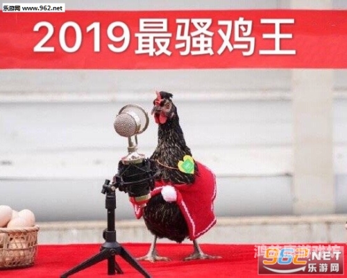 骚鸡吧影院，一场视觉与情感的双重盛宴