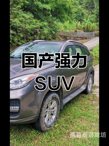 国产成人无码一区二区动漫的崛起与发展趋势分析