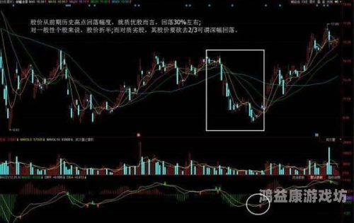 探索又紧又爽精品一区二区的魅力，深度解析其独特体验与市场趋势