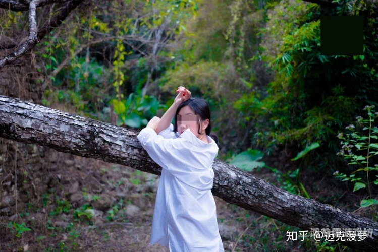 中文字幕一二区二三区，全面解析与使用指南